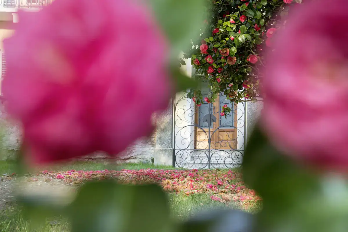 Miniatura Galleria